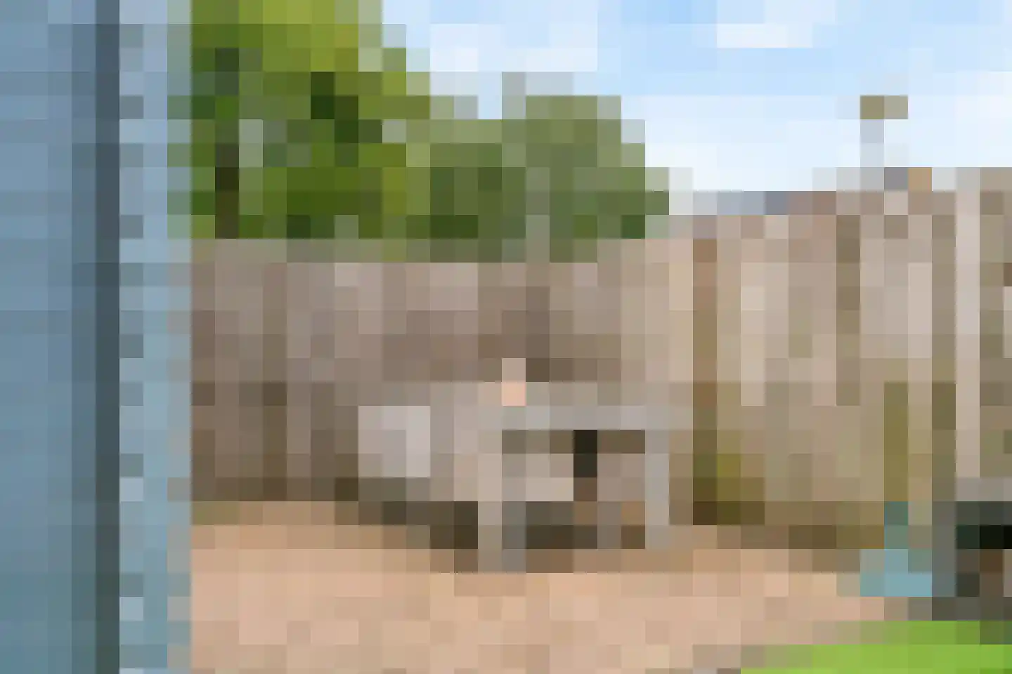 Klaproosweide 52 Woerden thumbnail 29