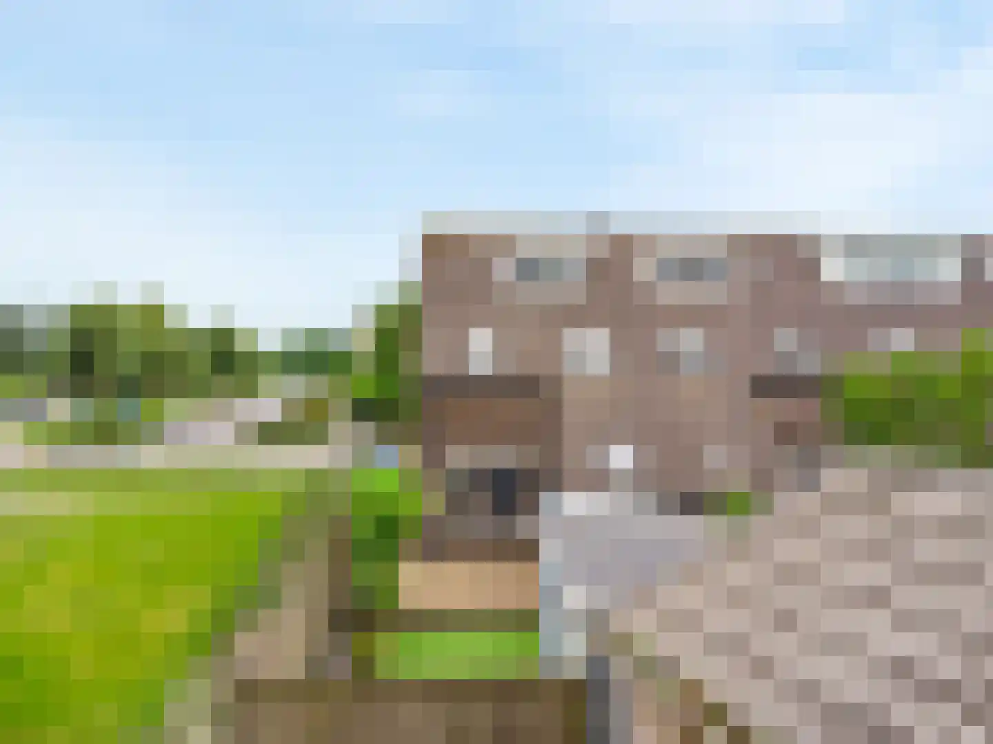 Klaproosweide 52 Woerden thumbnail 33