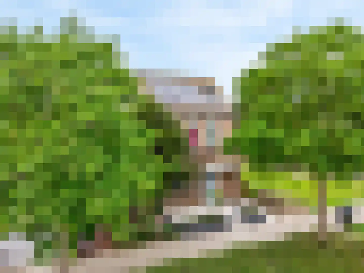 Klaproosweide 52 Woerden thumbnail 37