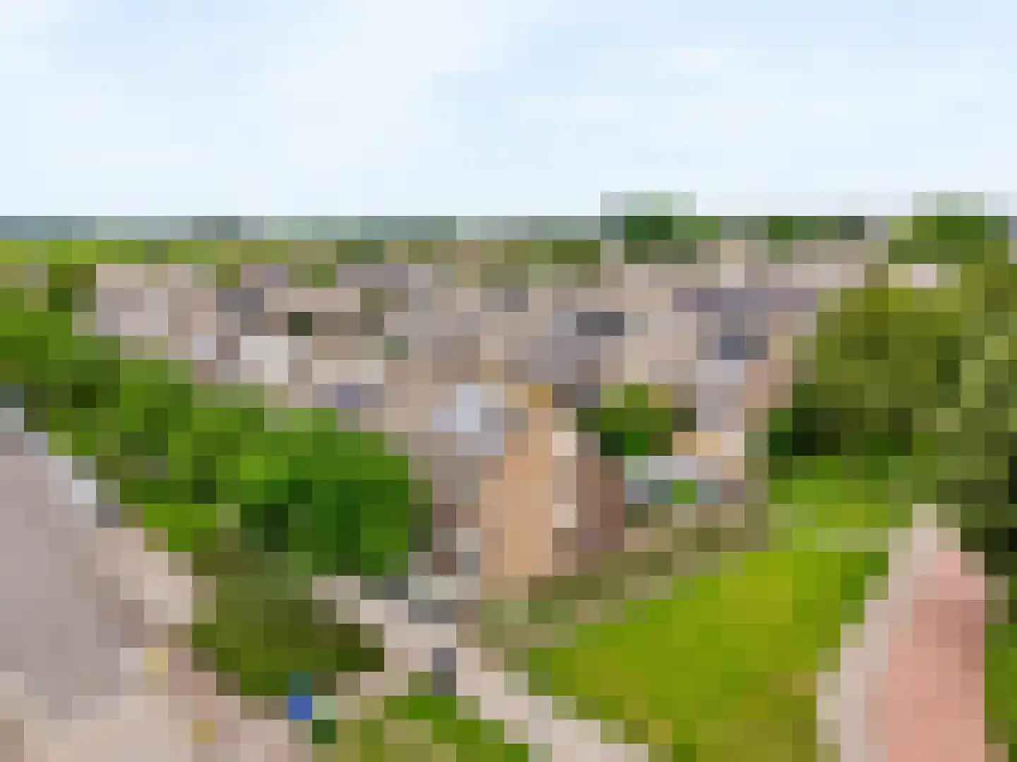 Klaproosweide 52 Woerden thumbnail 39