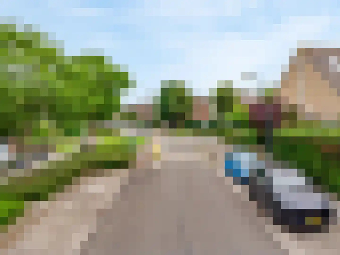 Klaproosweide 52 Woerden thumbnail 40