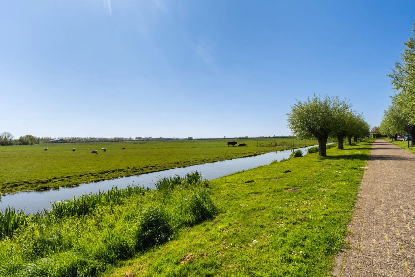 Klaproosweide 75 Woerden thumbnail 51