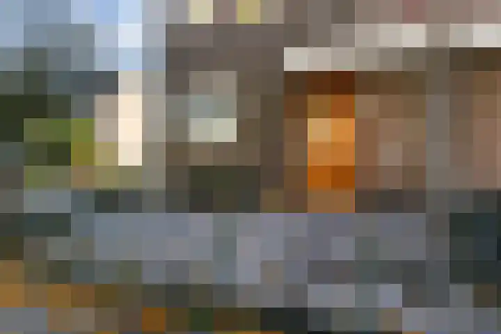 Klaproosweide 86 Woerden thumbnail 10