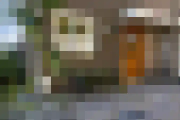 Klaproosweide 86 Woerden thumbnail 11