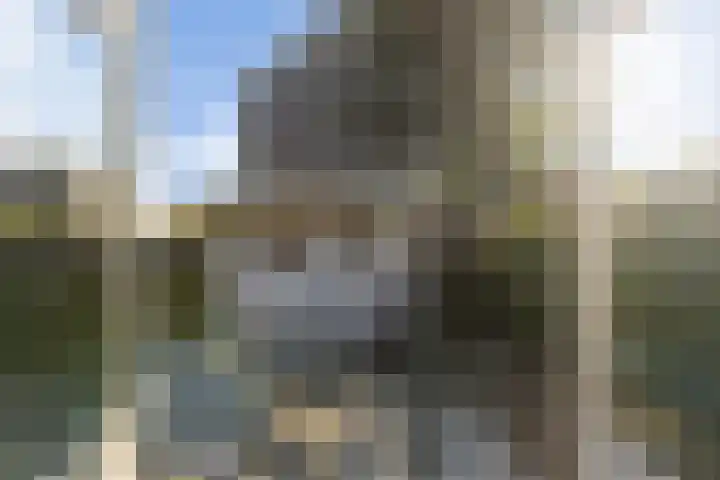 Klaproosweide 86 Woerden thumbnail 26