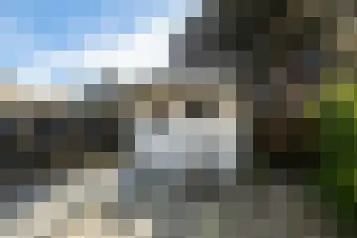 Klaproosweide 86 Woerden thumbnail 27