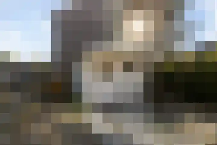 Klaproosweide 86 Woerden thumbnail 28