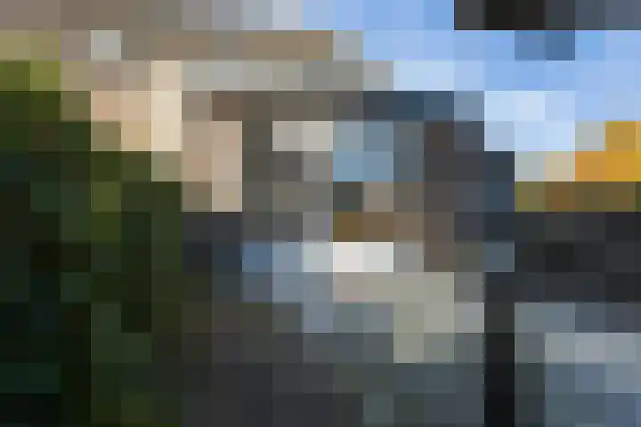 Klaproosweide 86 Woerden thumbnail 29