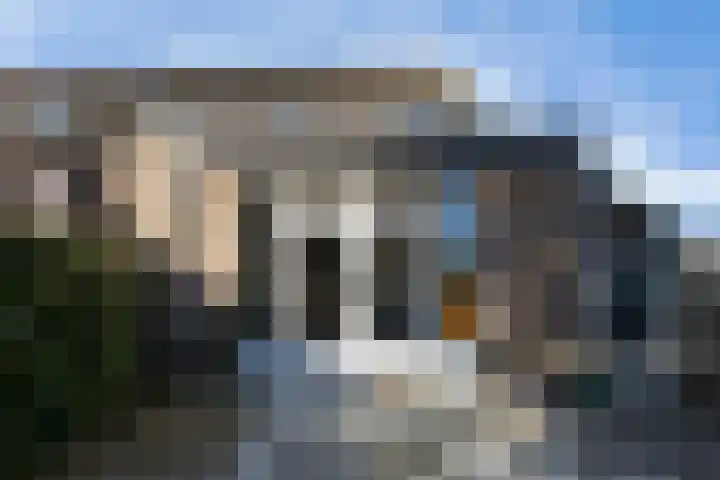 Klaproosweide 86 Woerden thumbnail 30