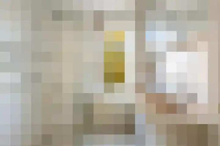Klaproosweide 86 Woerden thumbnail 38