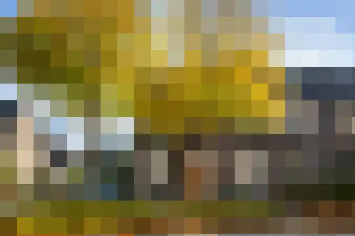 Klaproosweide 86 Woerden thumbnail 4
