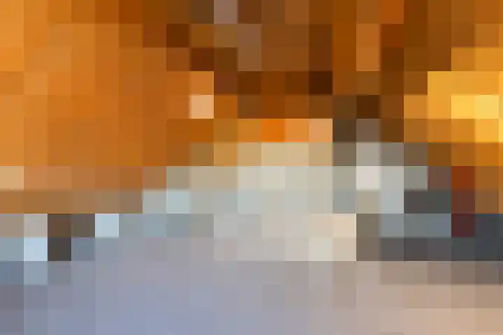 Klaproosweide 86 Woerden thumbnail 41