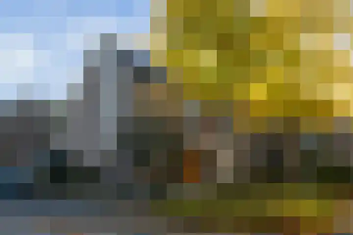 Klaproosweide 86 Woerden thumbnail 7