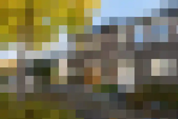 Klaproosweide 86 Woerden thumbnail 8