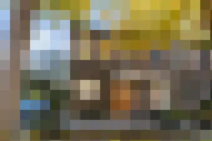 Klaproosweide 86 Woerden thumbnail 9