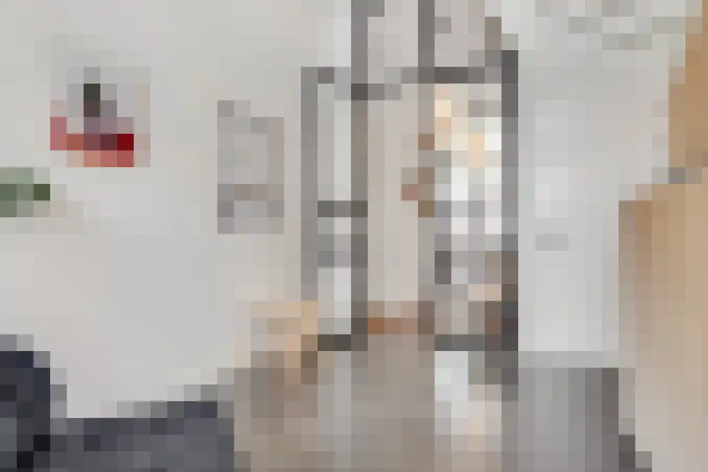 Klaprozenweg 45 D 1 Amsterdam thumbnail 17