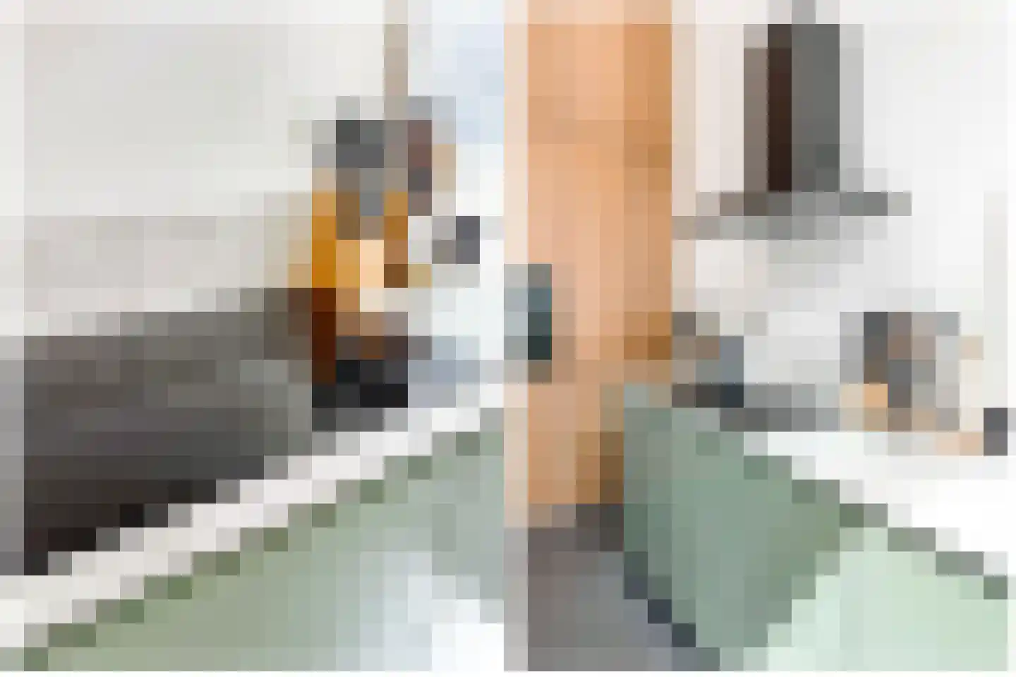 Klaprozenweg 45 D 1 Amsterdam thumbnail 7