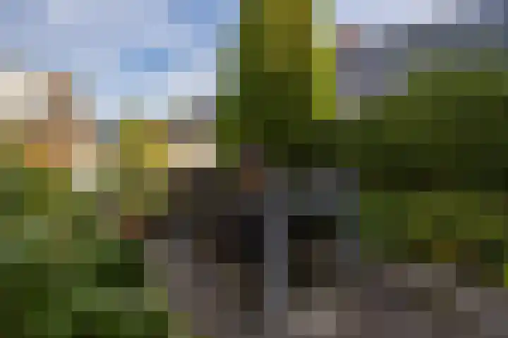 Klapsterweg 18 Woldendorp thumbnail 15
