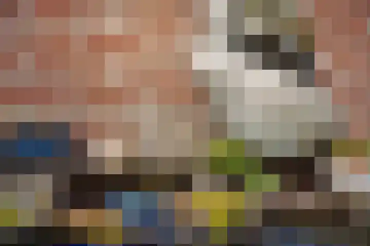Klapsterweg 18 Woldendorp thumbnail 17