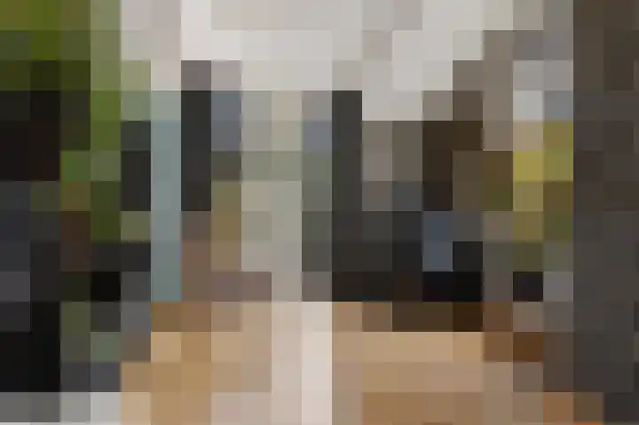 Klapsterweg 18 Woldendorp thumbnail 24