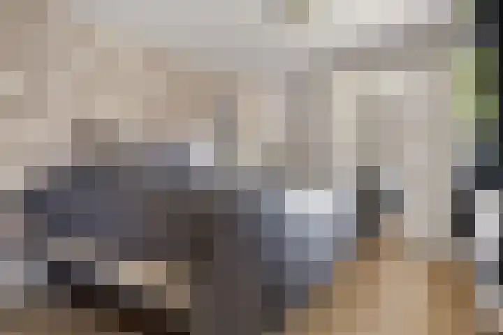 Klapsterweg 18 Woldendorp thumbnail 33