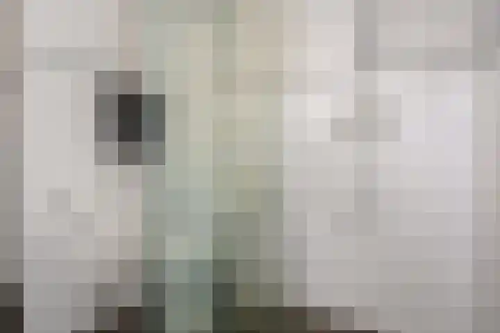 Klapsterweg 18 Woldendorp thumbnail 38