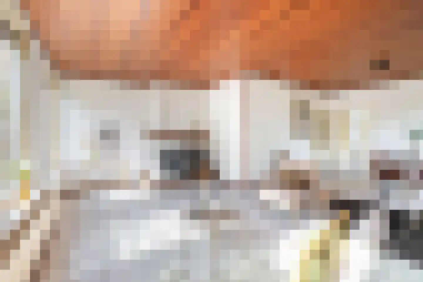 Klapstraat 23 Koewacht thumbnail 11