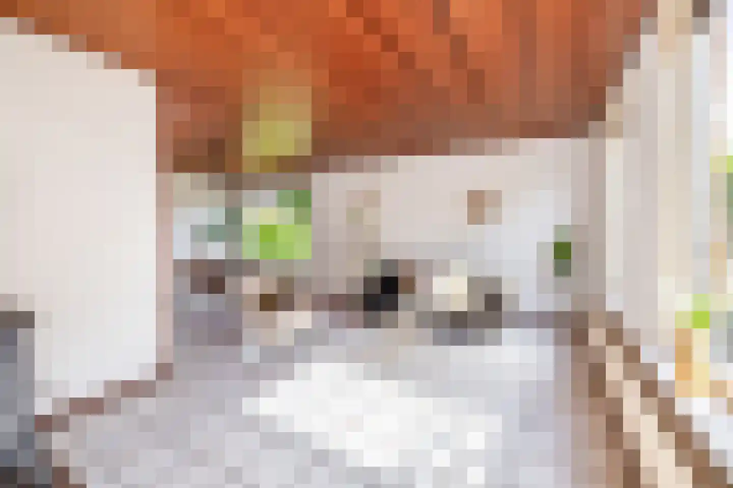 Klapstraat 23 Koewacht thumbnail 12