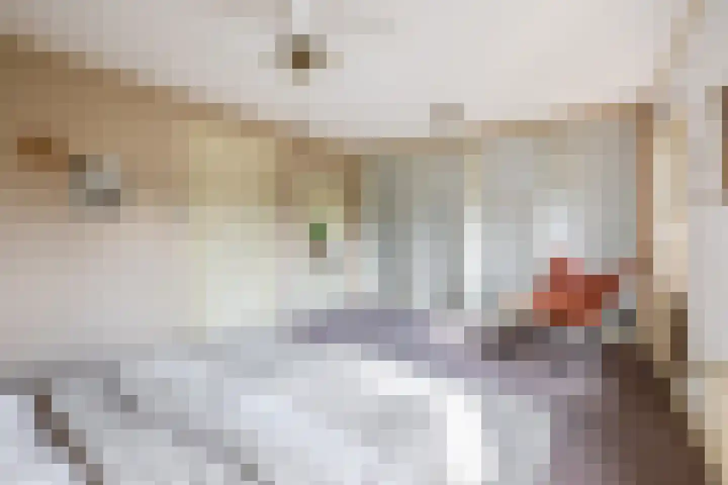 Klapstraat 23 Koewacht thumbnail 29