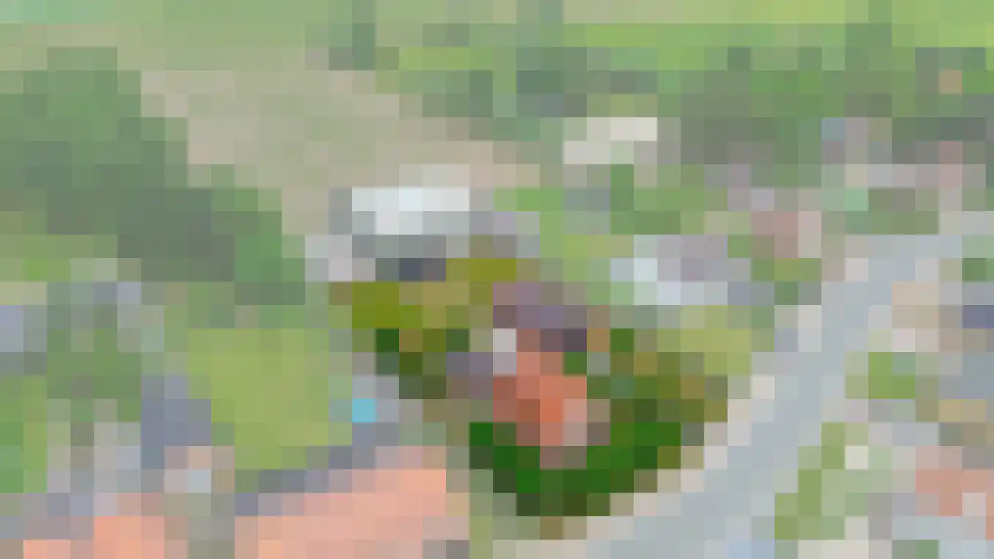 Klapstraat 23 Koewacht thumbnail 7