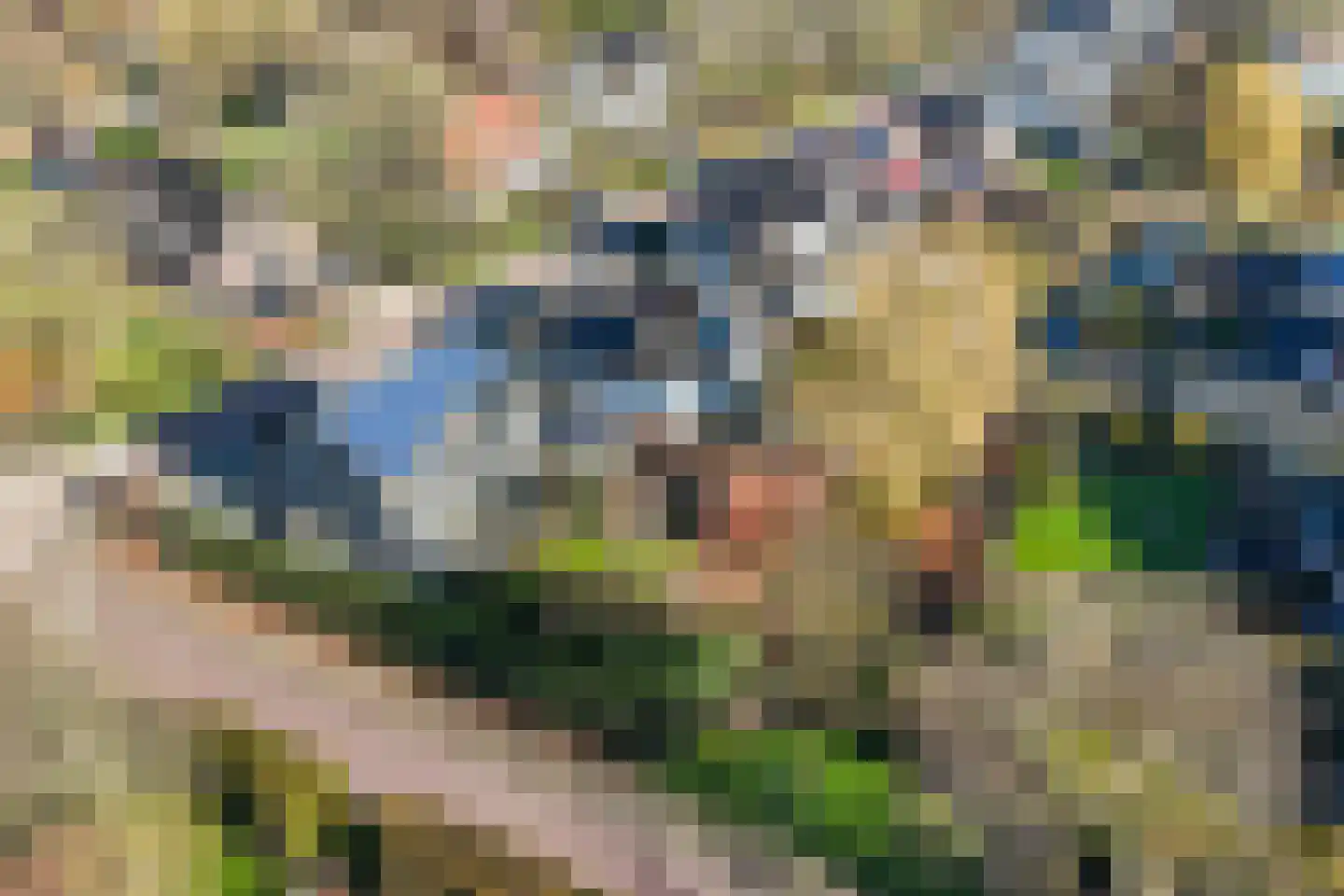 Klapstraat 231 Westervoort thumbnail 31