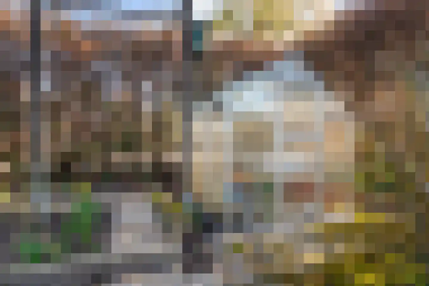 Klapstraat 231 Westervoort thumbnail 39