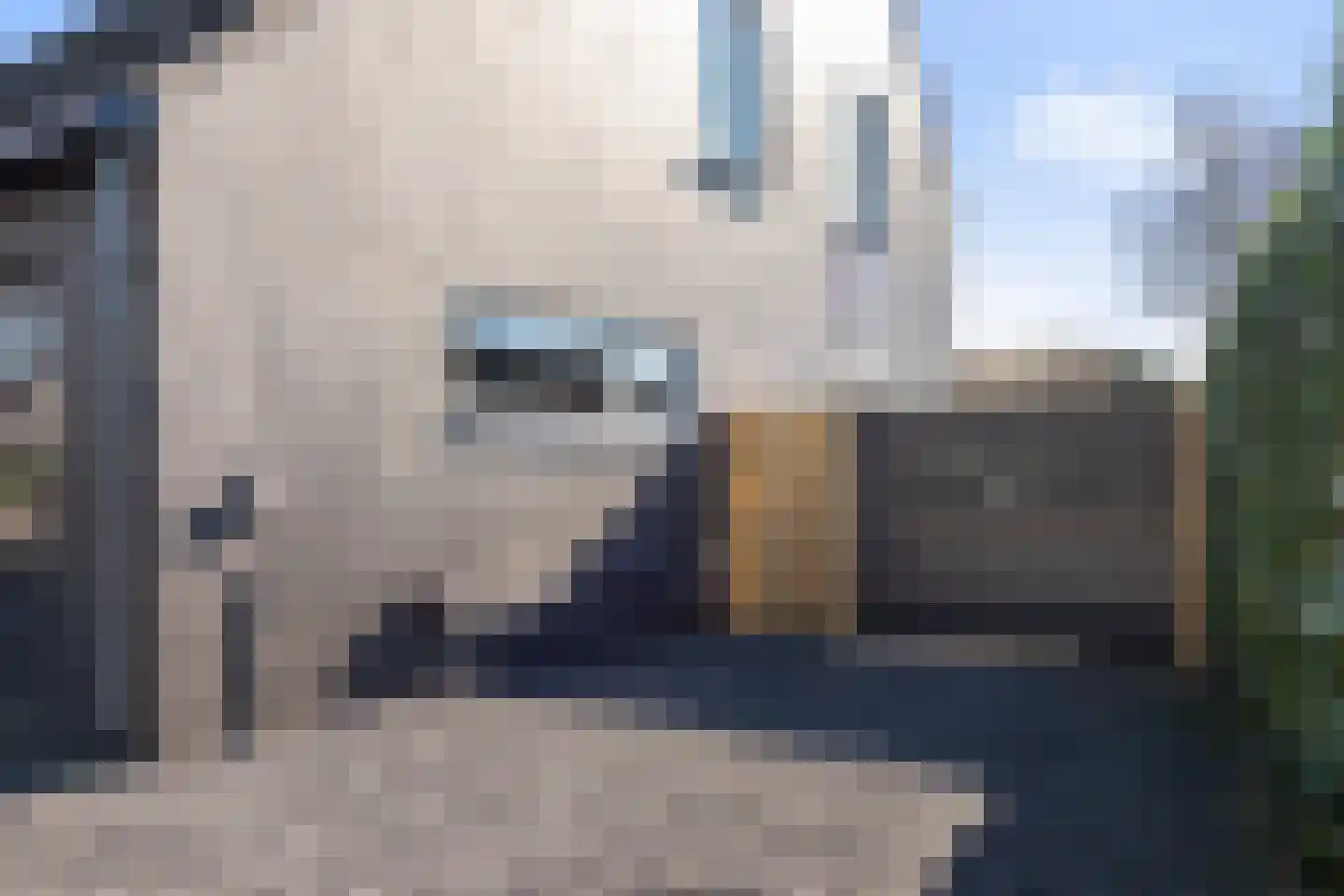 Klapstraat 231 Westervoort thumbnail 40