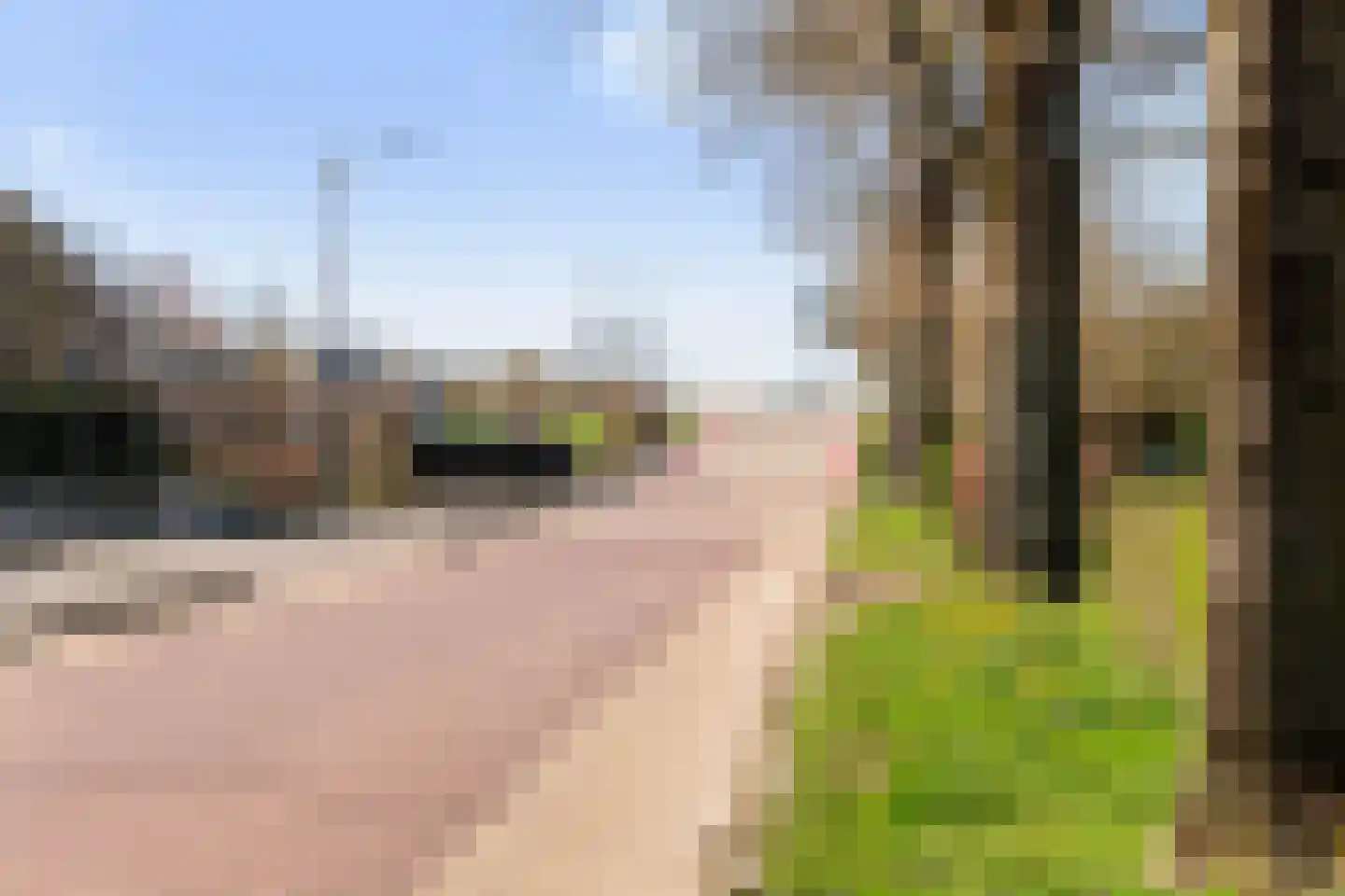 Klapstraat 231 Westervoort thumbnail 42
