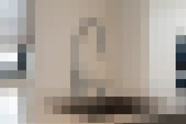 Klapstraat 24 C Arnhem thumbnail 11