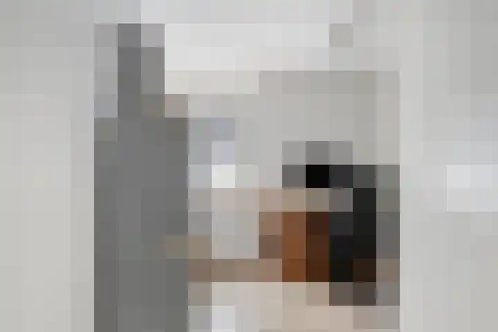 Klapstraat 27 Westervoort thumbnail 36