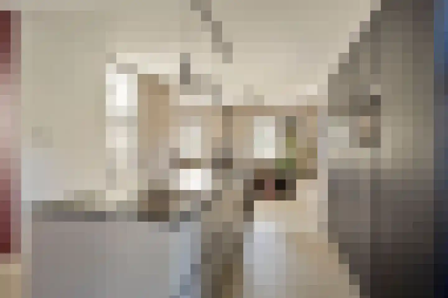 Klapstraat 31 Westervoort thumbnail 19