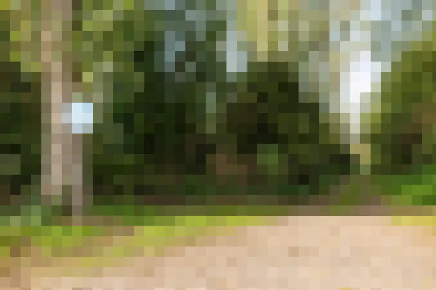 Klapstraat 31 Westervoort thumbnail 59