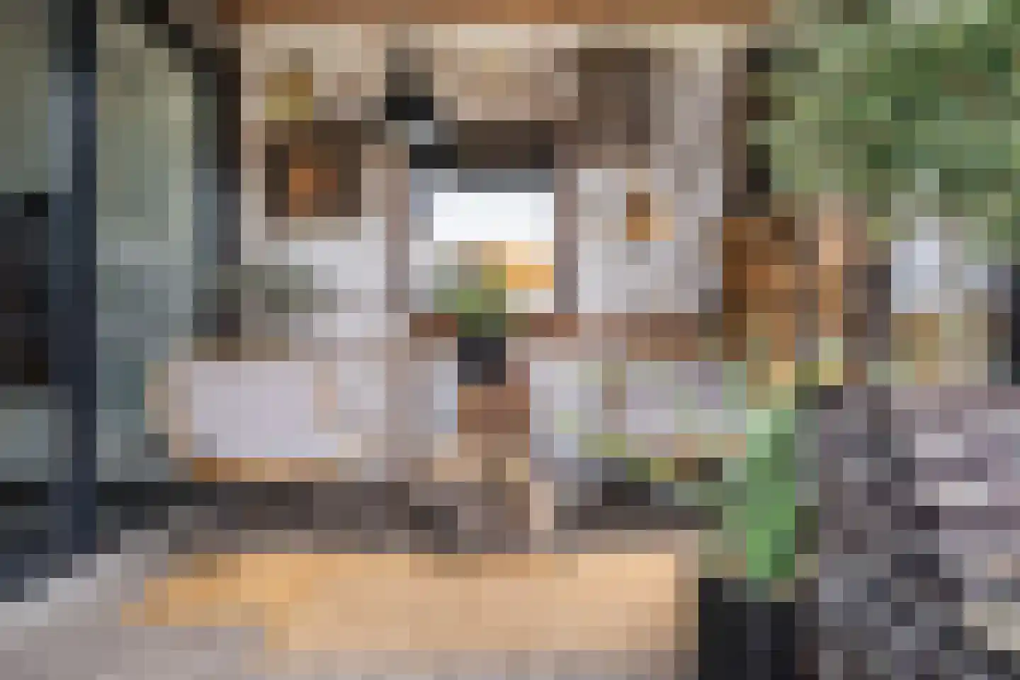 Klapstraat 35 Wijchen thumbnail 11