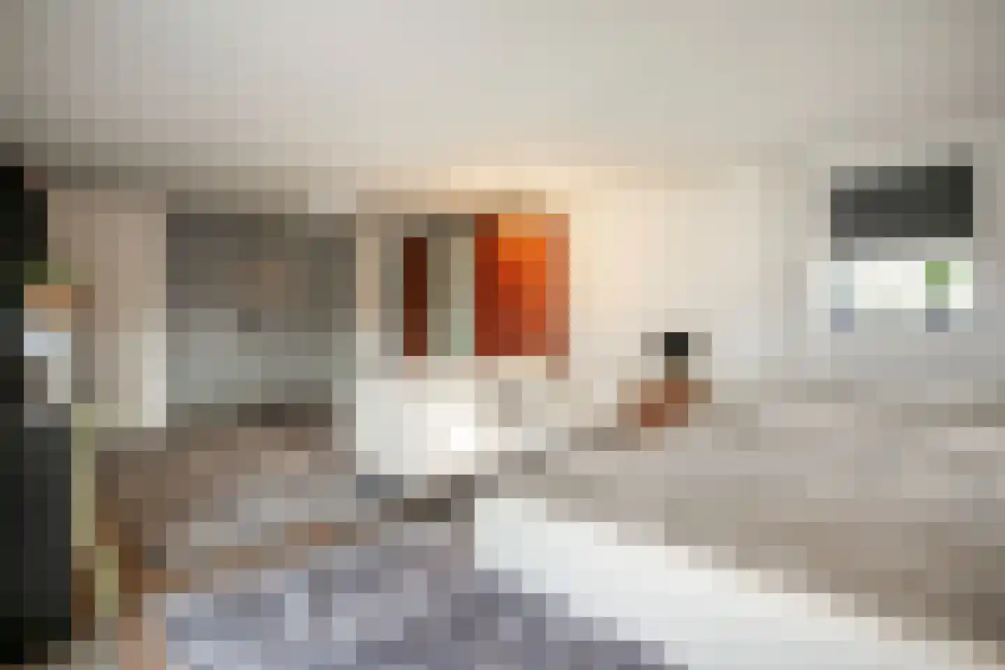 Klapstraat 35 Wijchen thumbnail 25