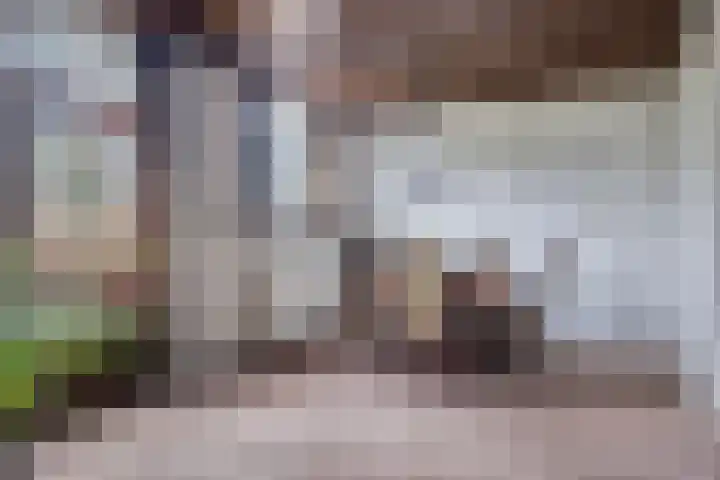 Klapstraat 51 Arnhem thumbnail 11