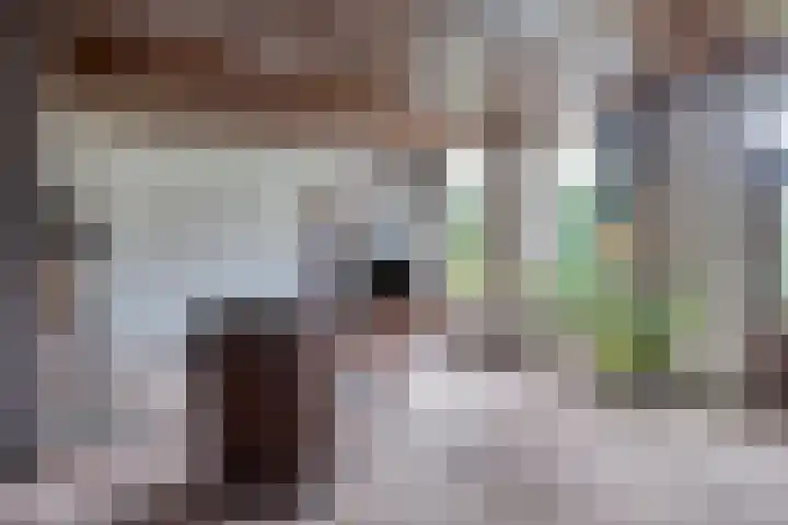Klapstraat 51 Arnhem thumbnail 8