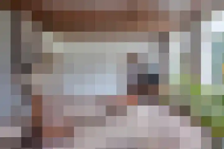 Klapstraat 51 Arnhem thumbnail 9