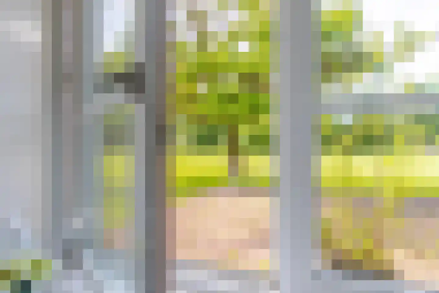 Klapstraat 53 Arnhem thumbnail 22