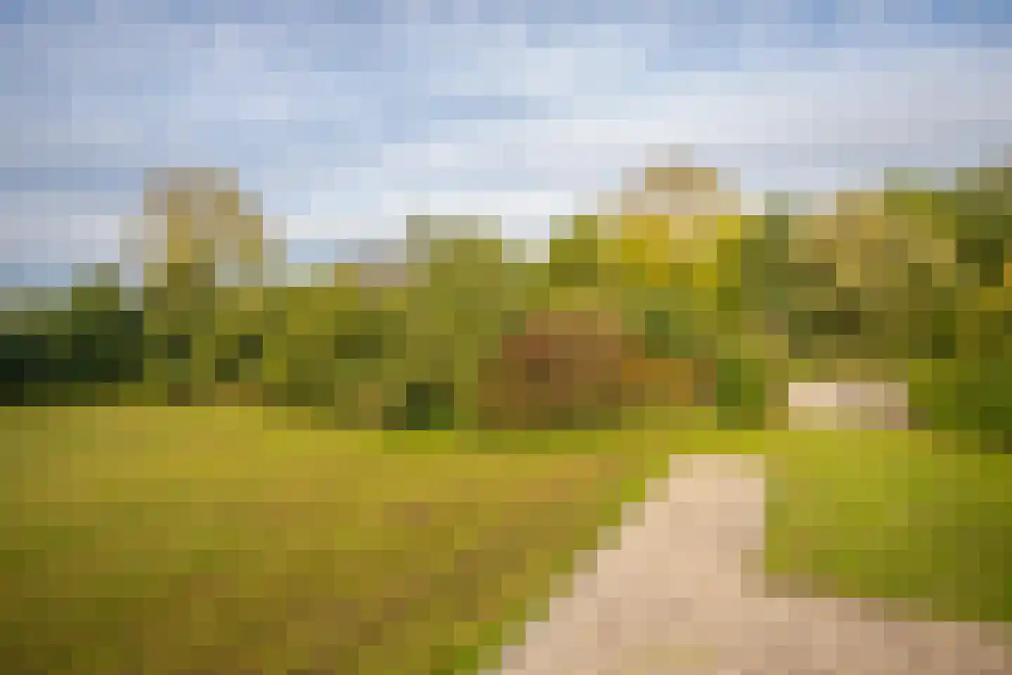 Klapstraat 53 Arnhem thumbnail 43