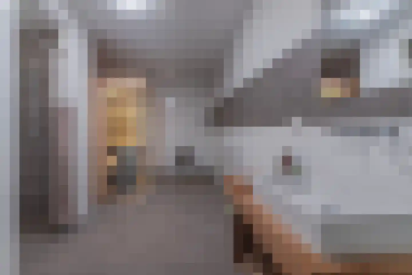 Klapstraat 53 Arnhem thumbnail 64