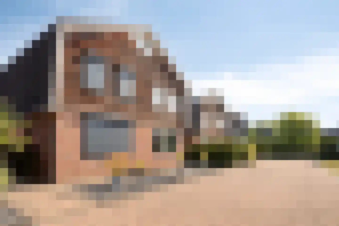 Klapstraat 9 a Westervoort thumbnail 33