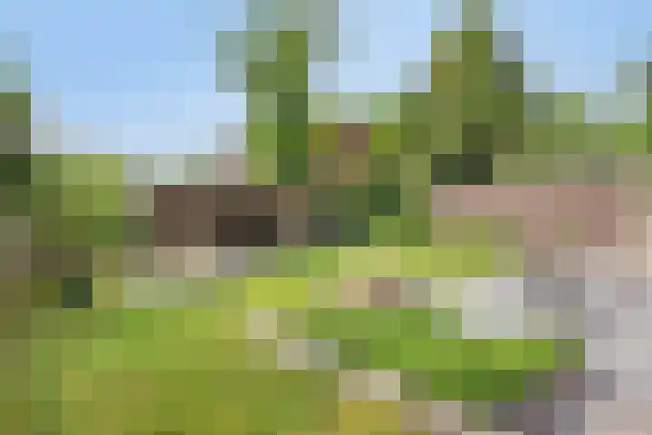 Klapstraat 9 e Westervoort thumbnail 38