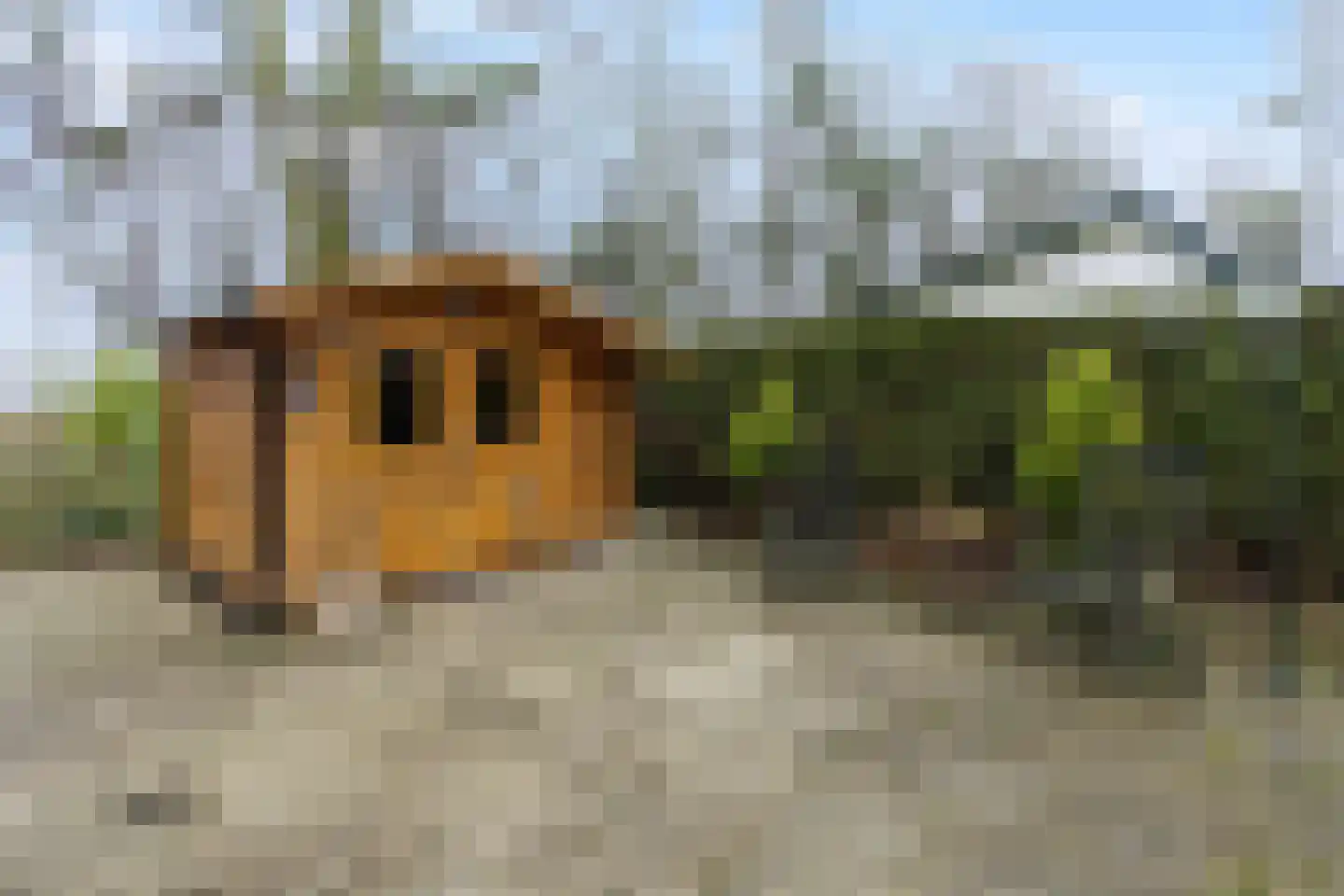 Klapstraat 92 Westervoort thumbnail 38
