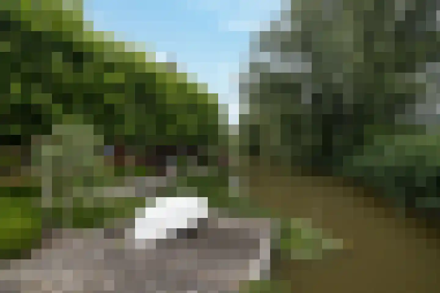 Klapwijkse eilanden 5 Berkel en Rodenrijs thumbnail 30